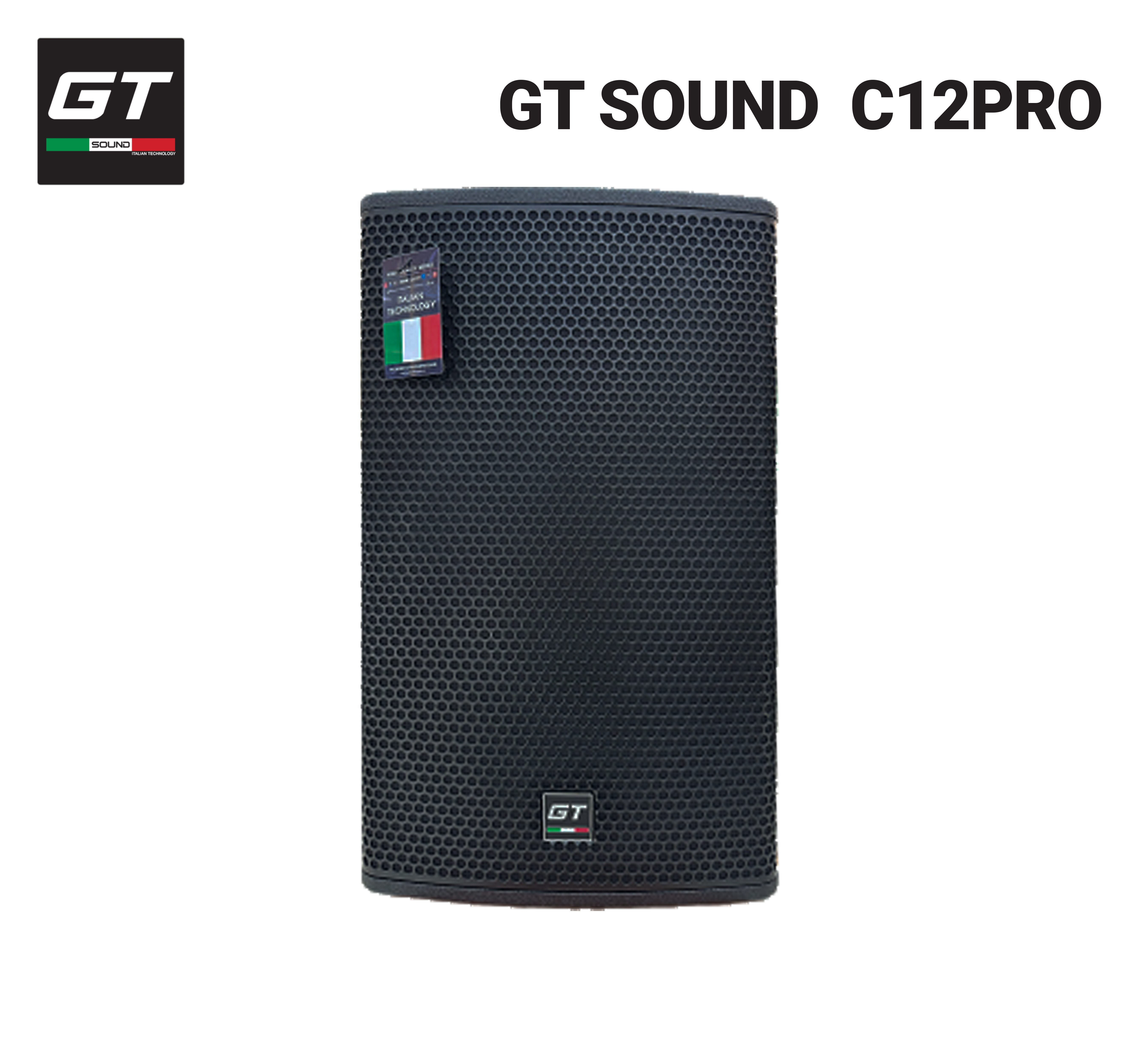 LOA GT SOUND C12 PRO